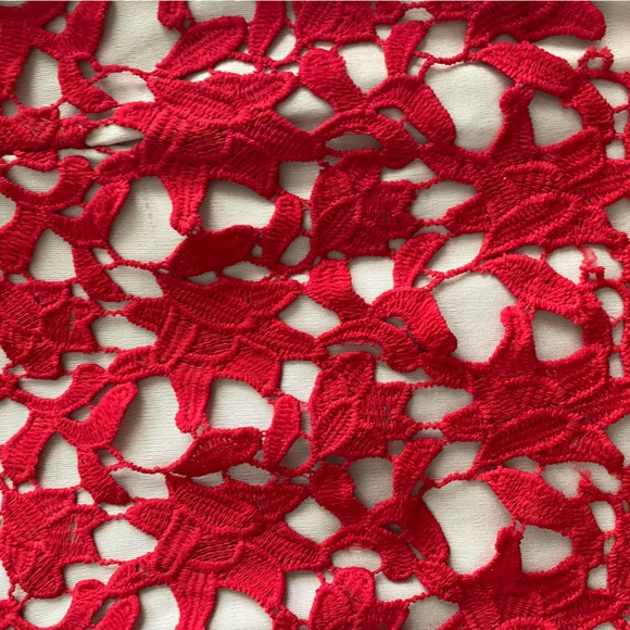 AMAZING nude dress with red embroidered designs perfect for any night out. - Picture 5 of 8